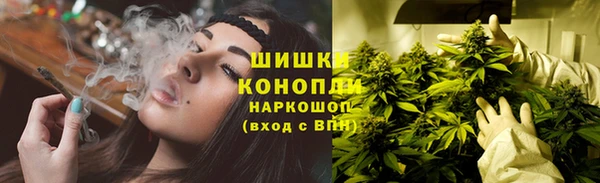ГАЛЛЮЦИНОГЕННЫЕ ГРИБЫ Балабаново