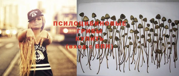 ГАЛЛЮЦИНОГЕННЫЕ ГРИБЫ Балабаново