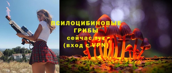 ГАЛЛЮЦИНОГЕННЫЕ ГРИБЫ Балабаново
