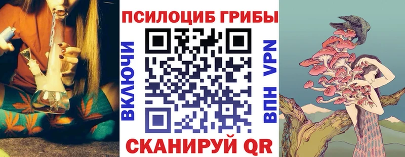 Псилоцибиновые грибы GOLDEN TEACHER купить закладку Бирюч